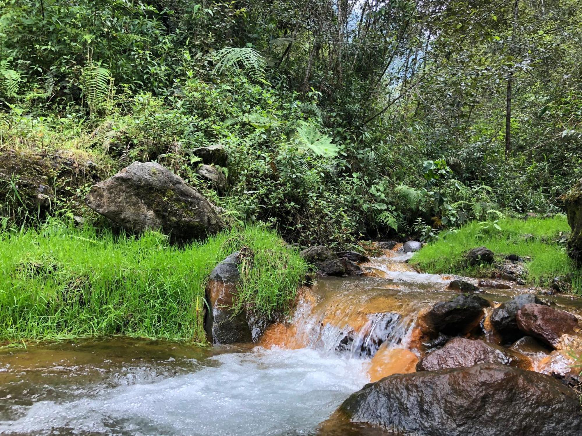 High-End Holiday Cabin - Tungurahua Hot Springs Baños Exteriör bild